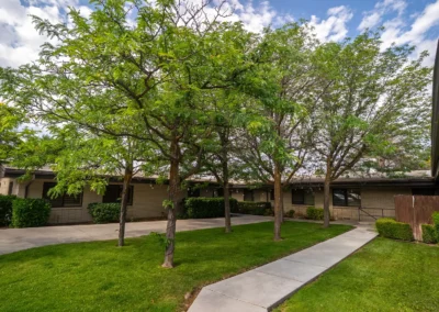 Outdoor courtyard with grass, shaded by tall trees, and a concrete walkway.